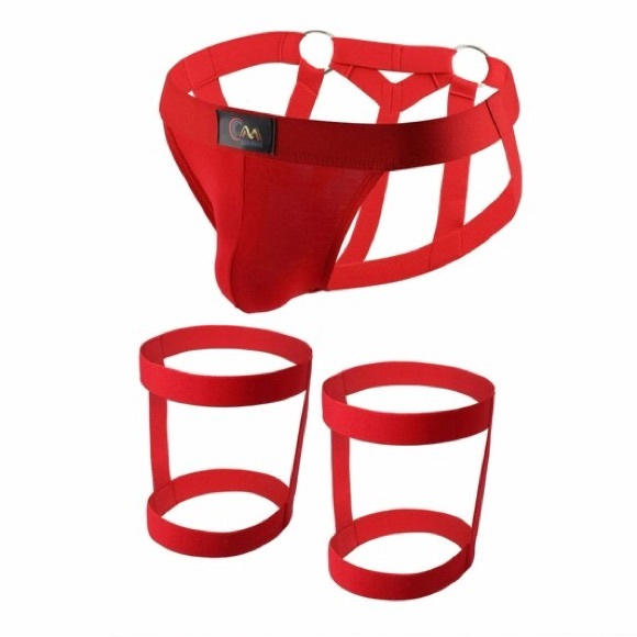 Sexy Strap Underwear Briefs Men's Sexy Comf Bikini Thigh Suspender. - Picture 3 of 3